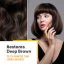 KINGMING Deep Brown Hair Dye Shampoo 3 in 1 for Gray Hair, 13.5 fl oz