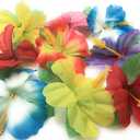 Oojami Hibiscus Flowers for Tabletop Decoration