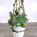 Supla 5 Pcs Assorted Artificial Succulents Plants Unpotted Small Green Cactus Echeveria Picks Fake Succulents Bulk for Succulent Garden Centerpiece Wreath Floral Arrangement Indoor Outdoor Home Dcor