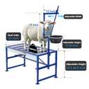 Goat Stand for Milking with Feed Bin, 600LBs Goat Milking Stand for Sheep Trimming Hoof, Use for Livestock, Iron Blue, Adjustable Size