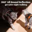 rabbitgoo Cat Harness and Leash Set for Walking Escape Proof, Adjustable Soft Kittens Vest with Reflective Strip for Cats, Comfortable Outdoor Vest,Light Orange,L