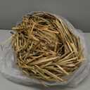 Hercicy 10 Pcs Adult Hawaiian Luau Straw Hats Pava Hat Puerto Rico Beachcomber Hats for Party Costumes Accessories Decor (Gold)