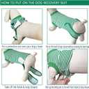 Dog Recovery Suit, After Surgery Wear for Pets Male Female, Professional Dog Onesie for Surgery for Abdominal Wounds Recovery Shirt, Substitute E-Collar & Cone X-Large (Green, XL)