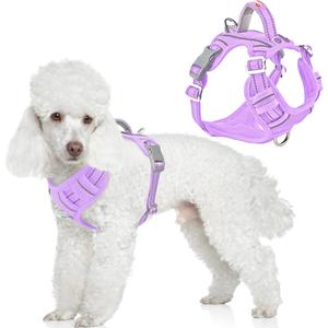 BARKBAY Dog Harness No Pull with ID Tag Pocket - Heavy Duty, Reflective, Easy Control for Large Dogs(Violet Purple, S)