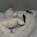 Marwood Under Door Draft Stopper Decorative Wind Stopper 36 inch for Door & Window, Weighted Animal Air Draft Stopper Snake Noise Blocker for Bottom of Door with Hanging Loops - Grey Cat