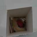 Interactive Cat Toys, Fast Rolling Ball in Play Mat, Automatic Motion Activated Moving Ball Hide and Seek Game for Bored Indoor, 28 Inch Play Mat Teasing (White)