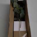 Briful Artificial Eucalyptus Stems in Glass Vase with Faux Water, 14" Fake Plant Eucalyptus Leaves for Home Bathroom Office Farmhouse Wedding Centerpiece Dcor (Clear)