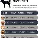 IVY&LANE No Pull Dog Harness for Small Dogs, Dog Vest Harness with Leash, Safety Belt and Storage Strap, Fully Adjustable Harness, 360 Reflective Strip, Soft Handle (Black, XS)
