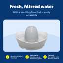 PetSafe Ceramic Pet Fountain  for Cats and Small Dogs  60 Oz Water Capacity  Whisper-Quiet Water Flow  Great for Shy or Timid Pets  Fresh, Filtered Water (1 Count (Pack of 1))