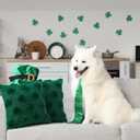 St. Patrick's Day Shamrock Pillow Covers 18x18 Set of 2, Soft Plush Green Clover Decorative Throw Pillowcases for Sofa Couch Living Room Bedroom Irish Holiday or Home Decor