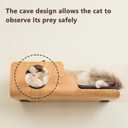 Cat Wall Shelves, Creative Design Cat Shelf with Peephole, 19 x 10 inch Cats Wall Furniture with Comfortable Pad, Cats Perch for Sleeping, Playing, and Scratching.