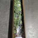 Aphighjoy 4Ft Artificial Birch Tree, Green Siberian Birch Tree for Indoor, Fake Potted Ficus Tree with Silk Leaves for Home Office Living Room Decor