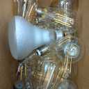 16 Light Bulbs Variety