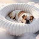 Self Warming Cat Bed, Donut Pet Bed for Indoor Cats and Small Dogs, SelfHeating Dog Bed with NonSlip Bottom, Winter Comfort Dog Beds for Puppies, Washable & Portable Egg Tart Shape (S)