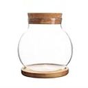 Plant Propagation Station,Hydroponic Glass Container Vase Jars, with Wooden Saucer for Desks, Houses, Garden Decorations, Home Kitchen Decorations and Gifts for Plant Lovers, Pack of 1