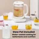 Double-Layer Electric Kettle1.5L with Stew Pot,Glass Health Pot, 9-in-1 Glass Tea Maker, Programmable Touch Panel, Stainless Steel Base for Soup, Porridge, Herbal Tea