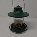 More Birds Large Lantern Bird Feeder, Lantern-Style Wild Bird Feeder, 5 Feeding Ports, 3.8-Pound Seed Capacity, Green