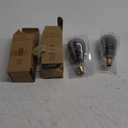 12V Edison Bulb Low Voltage Warm White 2700K E26 Base, DC/AC 12V 24V 36V LED Light Bulbs 40W Equivalent Smoky Grey Glass for RV Camper, Pack of 2 