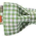 Lionet Paws Dog Collar with Bowtie, Durable Adjustable and Comfortable Collar for Small Dogs Puppies and Cats, Neck 10-16in (Green&White Grid)