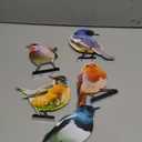 HUYIENO 5PCS Vivid Metal Birds Fence Decor Color Painted Outdoor Garden Natural Bird 2D Sculptures for Outdoor Fences, Patio, Garden and Bird Lovers