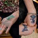 Inkbox Temporary Tattoos, Semi-Permanent Tattoo, One Premium Easy Long Lasting, Water-Resistant Temp Tattoo with For Now Ink - Lasts 1-2 Weeks, Orca Tattoo, Adria, 3 x 3 in