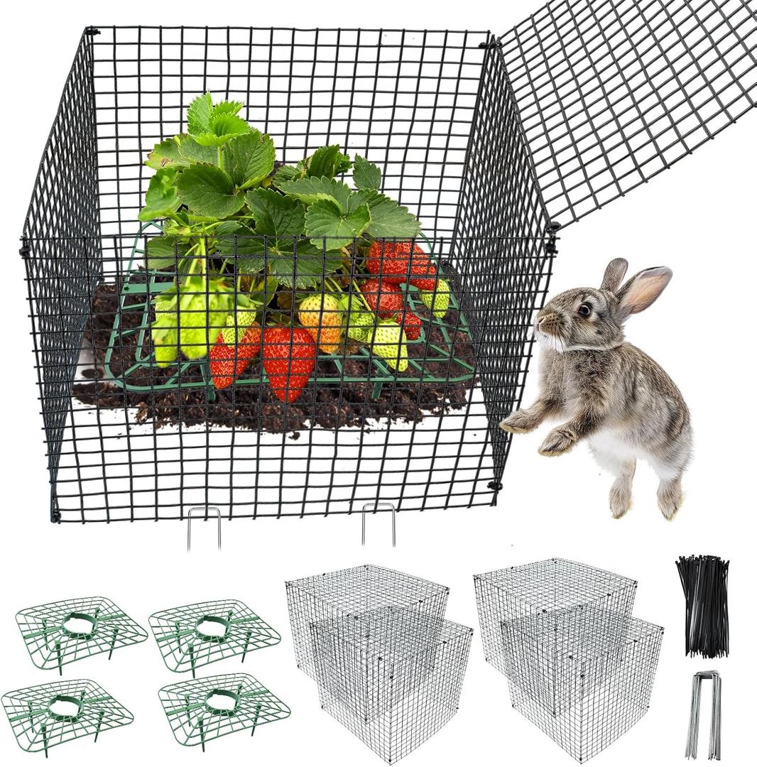 4 Sets Upgraded Strawberry Supports with Wire Plant Protectors from Animal 12x12Inch Sturdy Metal Wire Plant Cages Mesh Plant Cover and Strawberry Growing Racks Planting Stand for Garden Strawberry