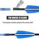 31“ Archery Arrows Training Practice Target Arrows for Kids Youth or Beginners Streamlined Points Durable Shaft on Recurve Bows Youth Bow and Longbows(Pack of 12)