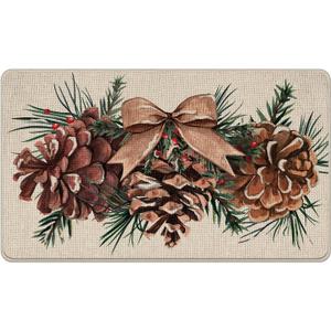 Winter Pine Cone Decorative Front Door Mat, Bow Pine Needle Red Berry Welcome Doormat Indoor Outdoor Non-Slip Floor Entryway Rug, Christmas Seasonal Home Kitchen Decoration 17x29 Inch