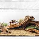 AZV Reptile Terrarium Tank,Versatile Enclosure for Leopard Crested Gecko,Lizard Cage,Spider Starter Kit,Hermit Crab Habitat,Tarantula Cribs,Perfect Aquarium for Snake,Frogs,Snails,Insects,Small Pets (Large(11.81*7.87*5.90inch))
