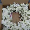 Spring Wreath for Front Door, 24 Inch White Cream Forsythia Spring Wreath Blossom Cluster Flower Farmhouse on Grapevine for Front Door Wall Window Hanging Decor Festival Celebration