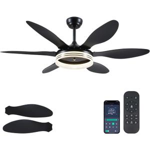 BayDay Ceiling Fans with Lights, Black Ceiling Fan with Light and Remote 3CCT Dimmable Light, 6 Blades, Reversible 6 Speeds Flush Mount Slope Ceiling Fan Modern Bedroom Living Room Indoor 51 inch