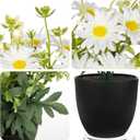 DILATATA Artificial Daisy Flowers in Pot 12 Inch Fake Flowers Silk Daisy Arrangement Faux Plant Flower Decor for Spring Home Decor Table Centerpiece Garden Porch Window - White