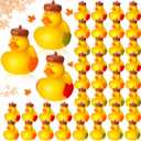 Deekin 24 Pcs Fall Rubber Ducks Acorn 2 Inch Thanksgiving Rubber Autumn Fall Themed Party Favors Bathtub Float Squeak Duck