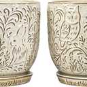 Decorative Ceramic Planter Pot with Saucer, Brown with Gold and Silver Owl Pattern, Indoor Garden Container with Drainage (White, 6 inch)