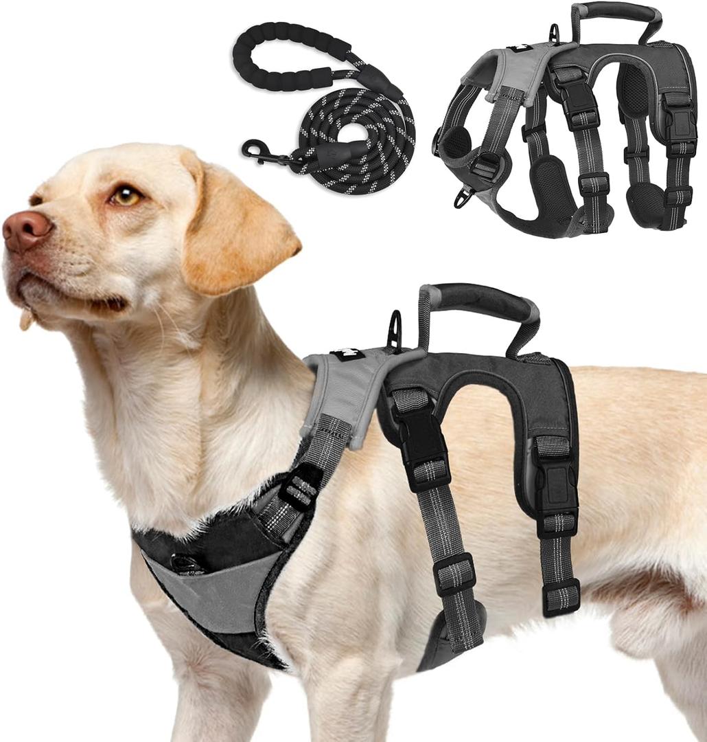 PUPTECK Escape Proof Dog Harness and Leash Set Upgraded No Pull Reflective Dog Vest with Lift Handle, Easy Control Pet Harness for Medium Large Dogs Training Walking Running (Grey/Black), Size: X-Large