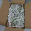 6 Pack Snowy Artificial Cedar Picks Stems Frosted Faux Cedar Spray Christmas Cedar Greenery Branches for Holiday Season Floral Arrangement Centerpiece Winter Wedding Decorations 20" Tall