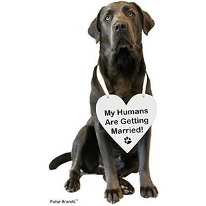 Pulse Brands Engagement Photo Prop Sign - My Humans are Getting Married - Engagement Gifts - Bride to Be - Engaged - Engagement Gifts for Couples (White), Set of 6