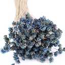 Quality Growers Natural Dried Purple Hill Flowers, 21" Long