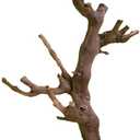 BNOSDM Reptile Grapevine Wood Decoration, Wooden Climb Tree Branch Decor, Grape Wood Branches for Leopard Gecko Lizard Frog Snake