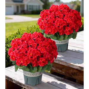Geraniums Artificial Flowers for Outdoors, 2 Pack Potted Plants Red Faux Geraniums Bush Artificial Topiaries Realistic UV Resistant Fake Flowers Plants for Planters Outside Gardens Front Door Indoor