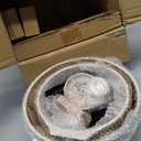 ESLITE LIFE 1.5 QT & 2.5 QT Sauce Pan Set with Lids, Nonstick Small Soup Pot Compatible with All Stovetops (Gas, Electric & Induction), PFOA Free, Black