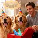 BoYoYo Tough Dog Toys for Aggressive Chewers 2 Pack, Indestructible Dog Toy for Large Dogs, Durable Dog Toys to Keep Them Busy for Large Breed, Teeth Cleaning and Training, Beef Flavor (Blue&Green)