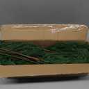 MERIXMAS 12 Pcs Artificial Norfolk Pine Branches - 19.7 Inch Norfolk Pine Stems - Indoor Outdoor Faux Christmas Greenery Plants Stems St Patricks Day Decor for Table Porch Window Stocking Stuffers