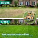 Lawn Aerator Shoes for Grass - Pre-Assembled Grass Aerator Shoes for Lawn - Soil Yard Aerator Tool for Aerating Patio Garden, Gray, Medium Size