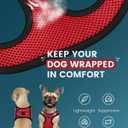 FAYOGOO Service Dog Vest for Small Breed - Lightweight Dog Harness with 6PCS Removable Patches - Puppy Harness and Leash Set for Walking,Training (Red)