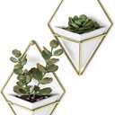 Umbra Trigg Hanging Planter Vase Wall Decor, Set of 2 Pots Containers for Succulents, Cactus, Faux Plants, and More, Small, White/Brass