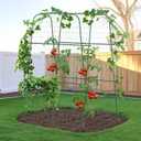 HIRALIY Cucumber Trellis for Climbing Plants Outdoor, 5.25ft Tall Heavy Duty Metal Garden Arch Trellis, Rustproof Plant Support Tunnel for Tomato, Grape, Bean, Raised Bed and Vegetable Gardens, Green, 66"l X 36"w X 63"h-tunnel Trellis (Pink, XL)