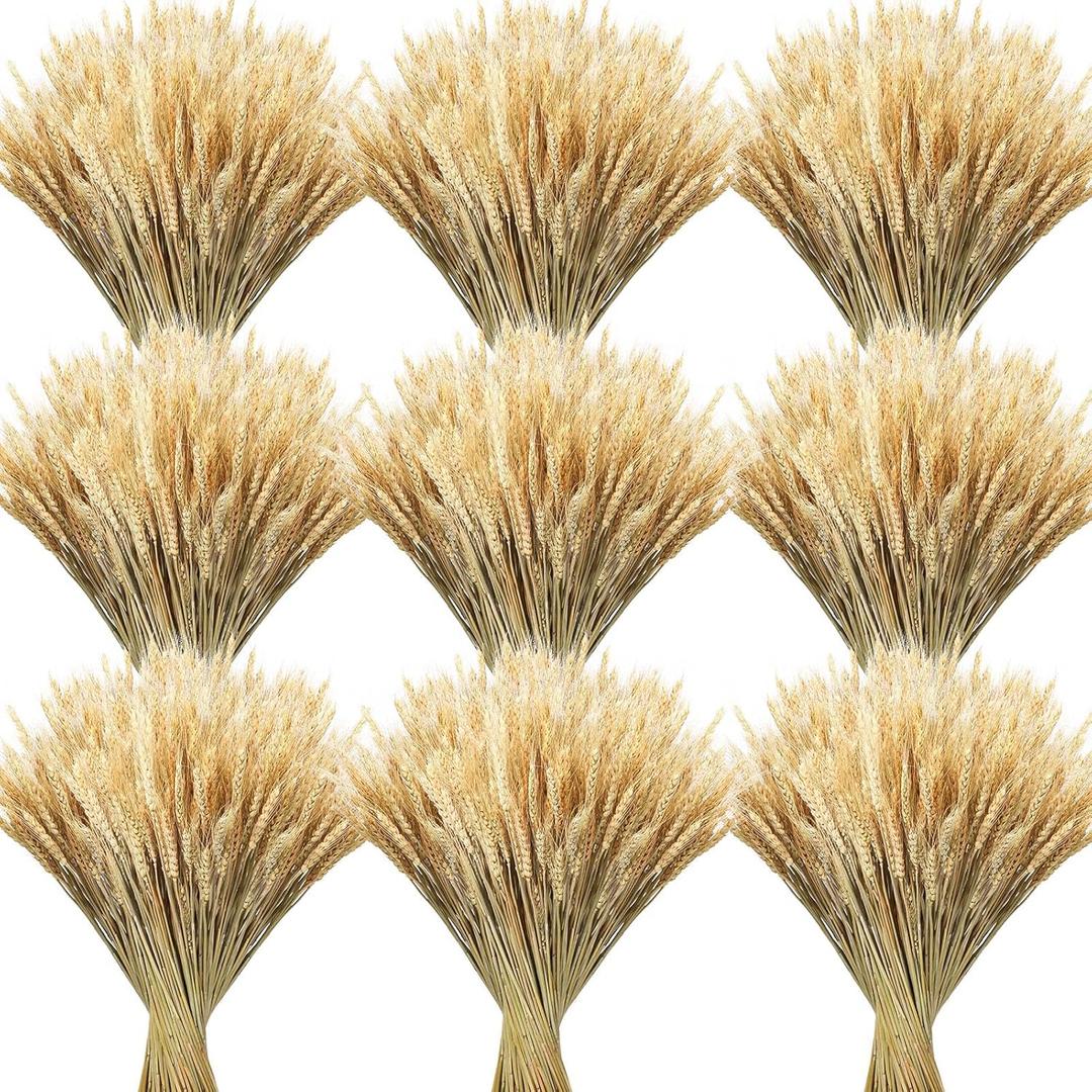 Geosar 600 Stems Dried Wheat Stalks for Decor Natural Wheat Grass Sheaves Bundle Farmhouse Artificial Flowers Arrangement for DIY Wedding Table Home Centerpieces Party Decorative (16 Inch)
