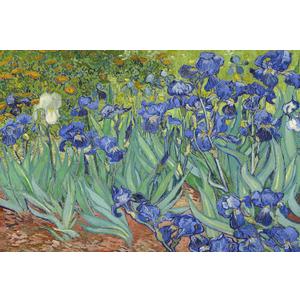 Jigsaw Puzzles for Adults 1000 Piece Irises by Vincent Van Gogh 27.56 x 19.69 Inch Puzzles for Adults Educational Challenge Toy Van Gogh Puzzles 1000 Pieces for Adults