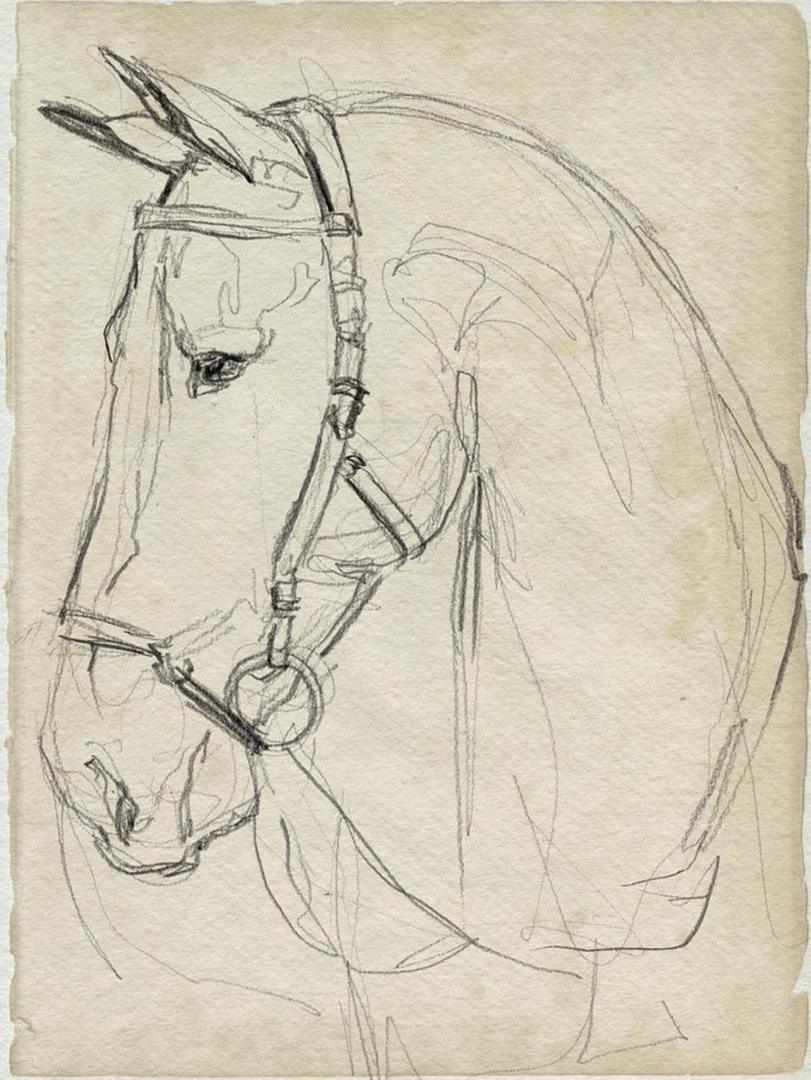 ART.COM Wall Art Print Horse in Bridle Sketch II by Jennifer Parker, 18" x 24"